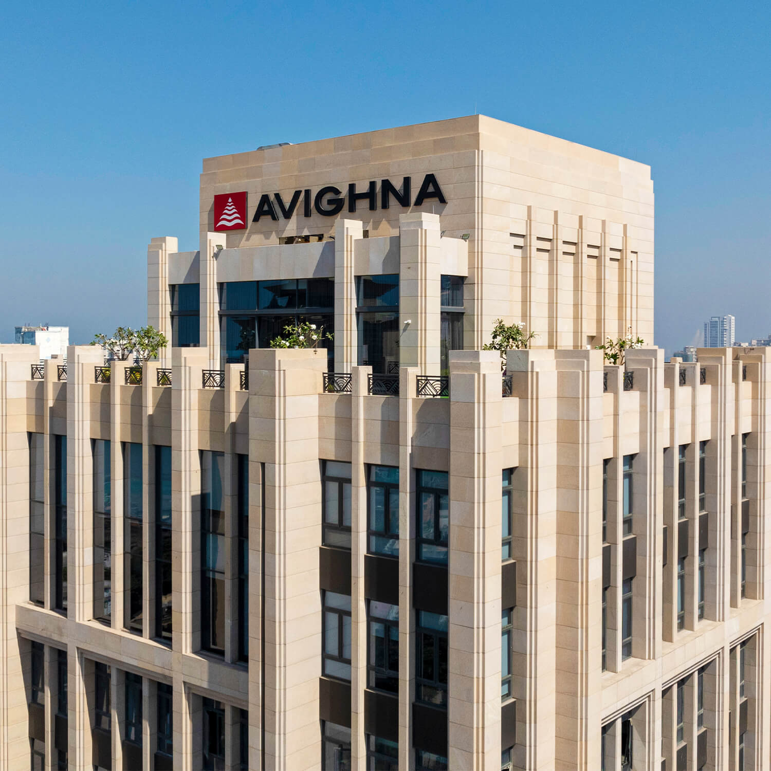 Avighna Group Images