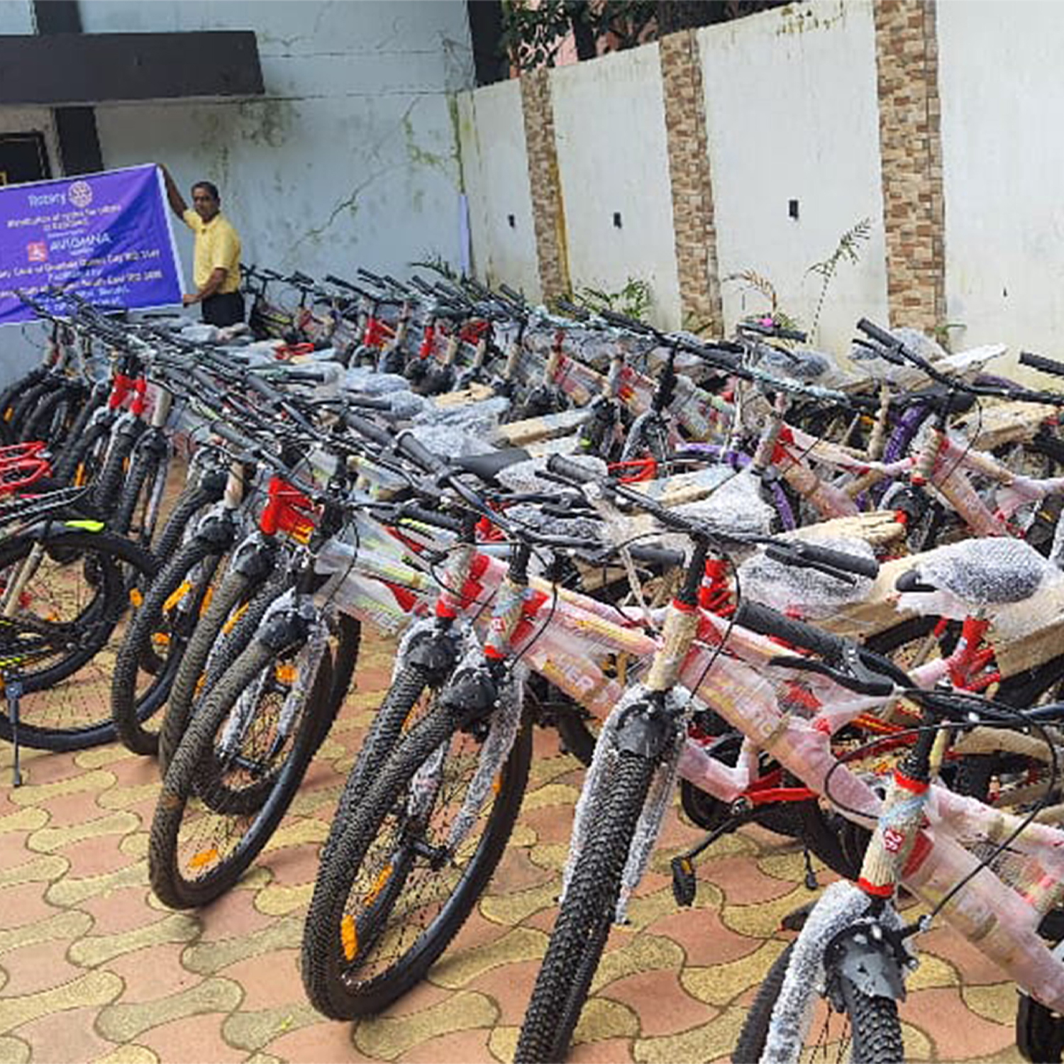 Tribal Girls - Cycle Distributed